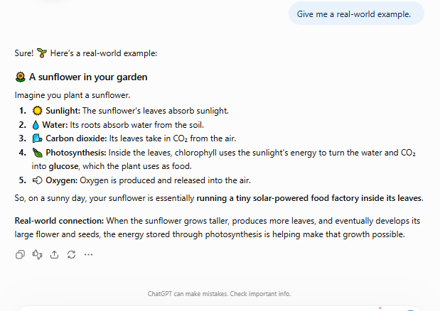 ChatGPT Output